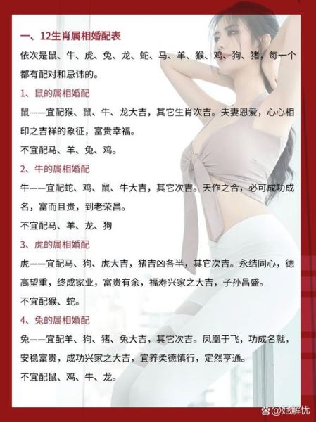 生肖属相蛇鸡（生肖蛇鸡婚配怎么样）