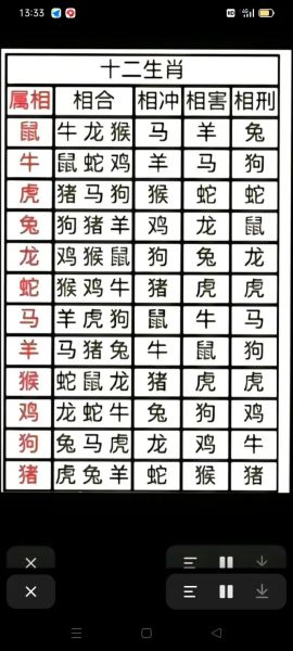 查看十二生肖属相配对表(十二生肖属相配对表最全版)