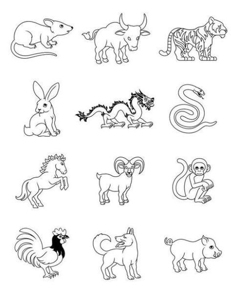 生肖属相算命书(生肖属相算命书怎么用?新手零门槛指南)