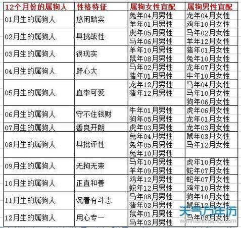 属狗的最爱的生肖属相（属狗最爱的三大生肖伴侣！）