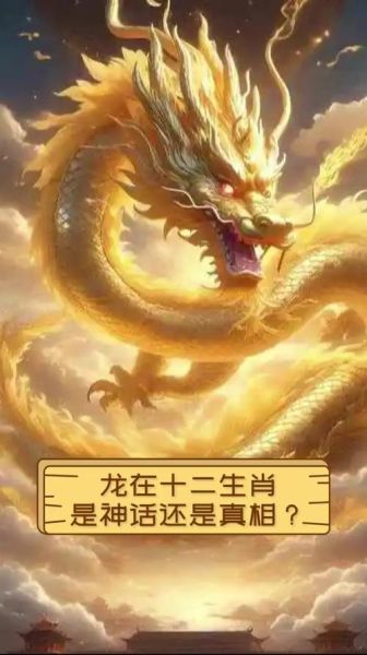 龙生肖后面是什么属相