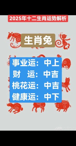 兔年生肖属相运势（兔年生肖属相运势2025全年完整解析）