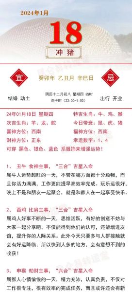 猪年的生肖属于什么属相