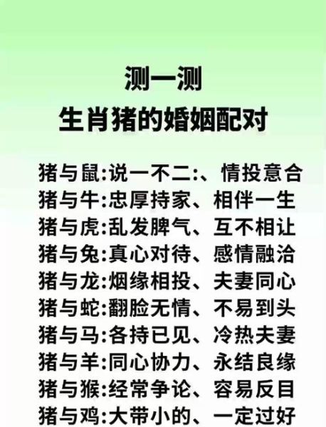生肖猪忌生肖什么属相（属猪不能跟什么属相婚配？）