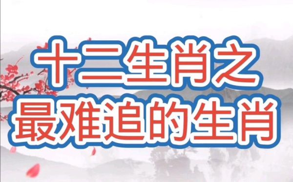 哪个生肖属相最难追(哪个生肖男最难追)