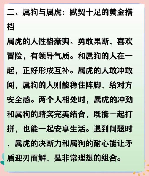 生肖狗忌配生肖什么属相(属狗最忌讳的三个生肖配对)