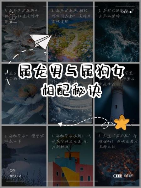 生肖龙和什么属相最配男(生肖龙男和什么属相最配)