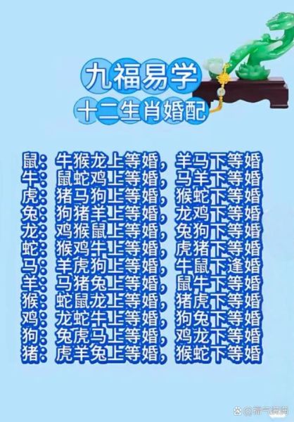 生肖属相候的婚配属相（属猴的最佳婚配属相指南）