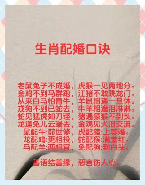 生肖属相上司下属（如何与生肖属相上司愉快相处）