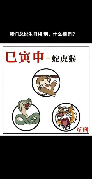生肖猪相刑属相（属猪相刑生肖是哪些？）