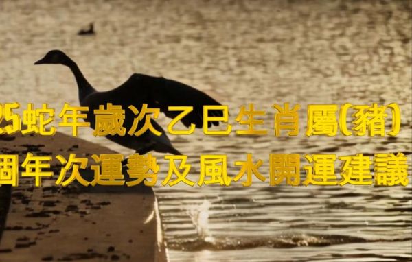 己亥年属什么生肖属相（己亥年属什么生肖属相？）