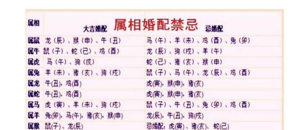 不合的属相是什么生肖（不合的属相有哪些生肖配对）
