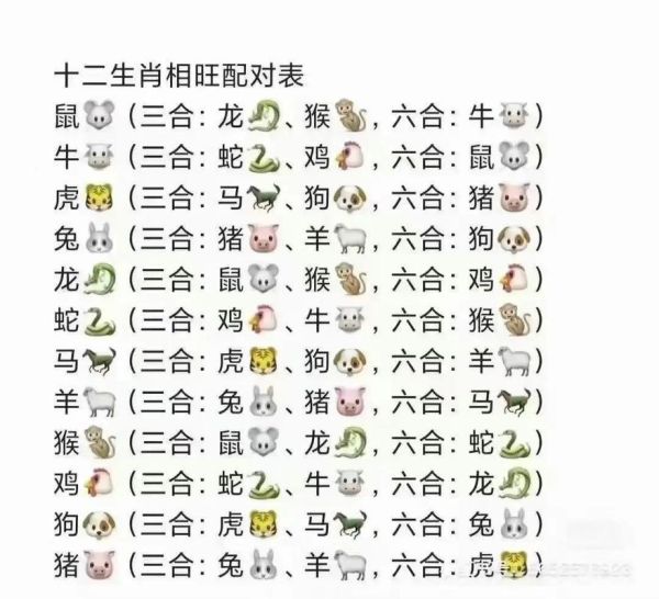 生肖属相搭配查询（属龙跟属鼠的婚姻合吗）