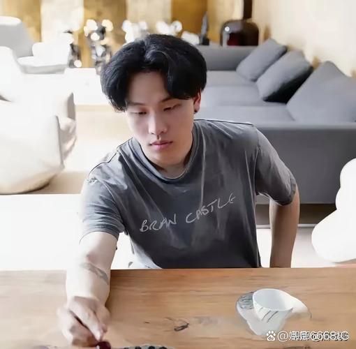 陈坤儿子生肖是什么属相（陈坤儿子生肖是什么？一查就知道）