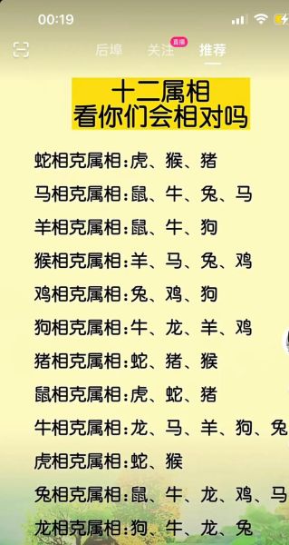 生肖相克饰品是什么属相（生肖相克饰品是什么属相？🐉✨）