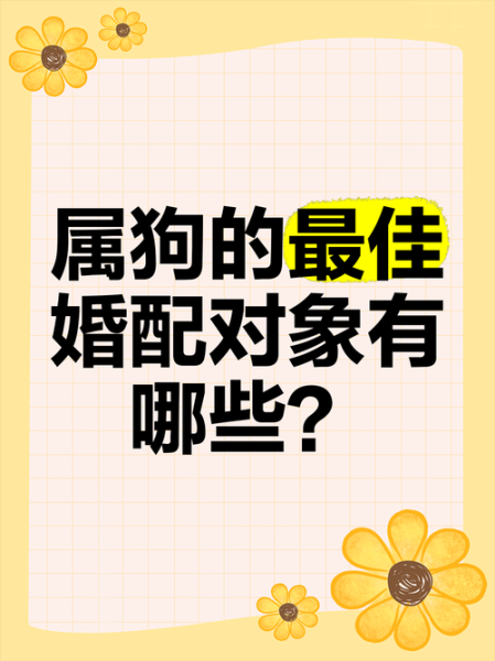 生肖狗最佳配偶属相