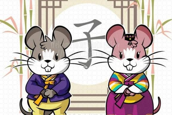 生肖鼠喜欢哪些属相（鼠跟什么属相最配）