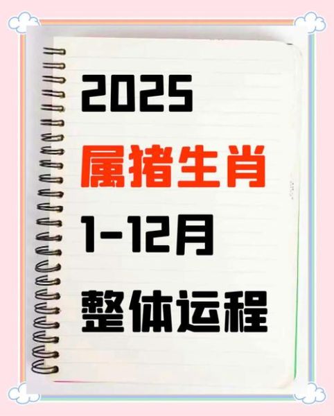 属相猪生肖运势如何（属猪2025年运势每月运程详解）
