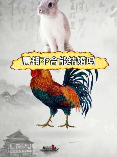 生肖鸡合适伴侣属相（生肖鸡适合什么生肖最合婚？）