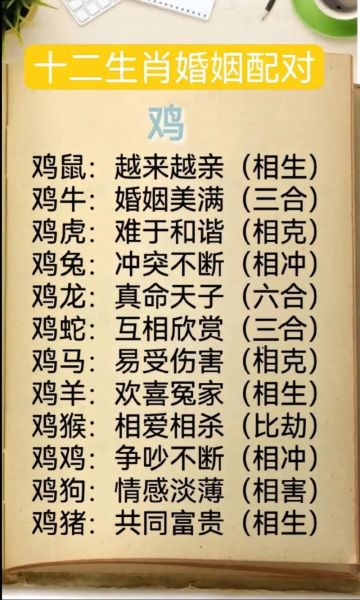 生肖鸡合适伴侣属相（生肖鸡适合什么生肖最合婚？）