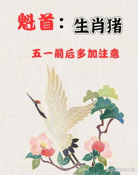 生肖猪的对冲生肖属相(生肖猪对冲生肖是什么)