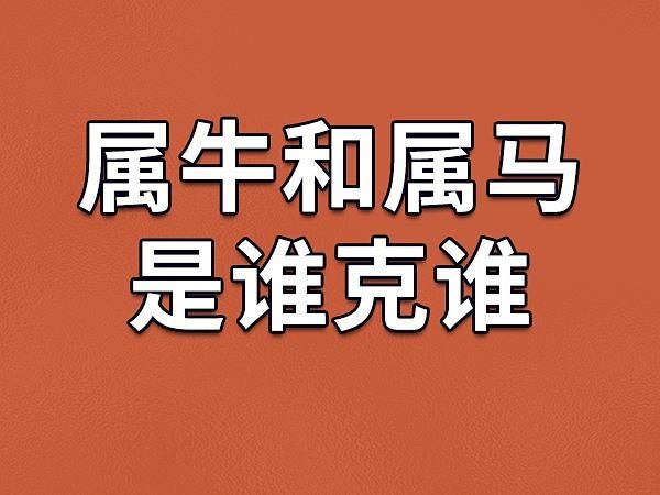生肖牛和什么属相不和（生肖牛和什么属相不合）
