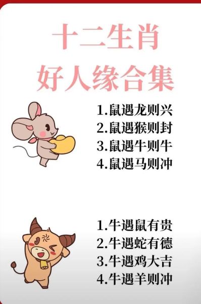 生肖属相 搞笑(十二生肖属相搞笑段子大全)