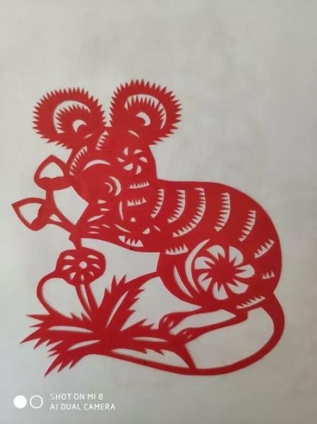 赵老师属什么生肖属相