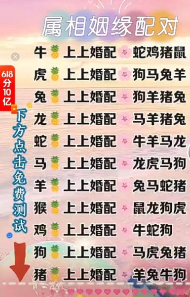 生肖鸡婚配最好属相(生肖鸡婚配最好属相是什么)