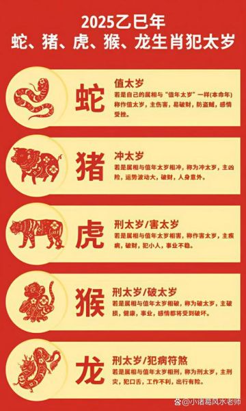 生肖属相时间表(2025生肖属相时间表:一键速查🐉)