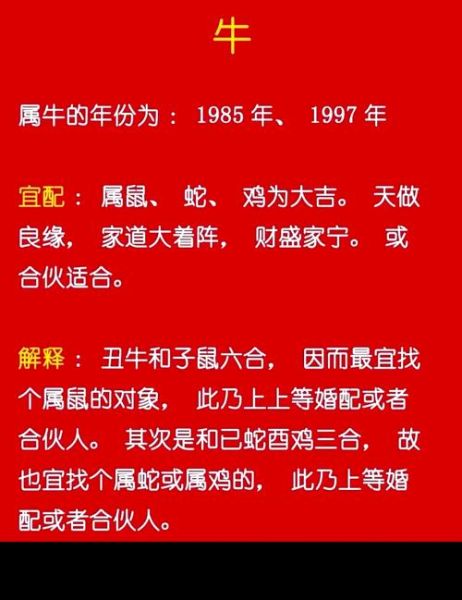 生肖属相结婚年份（属相婚配最佳结婚年份）