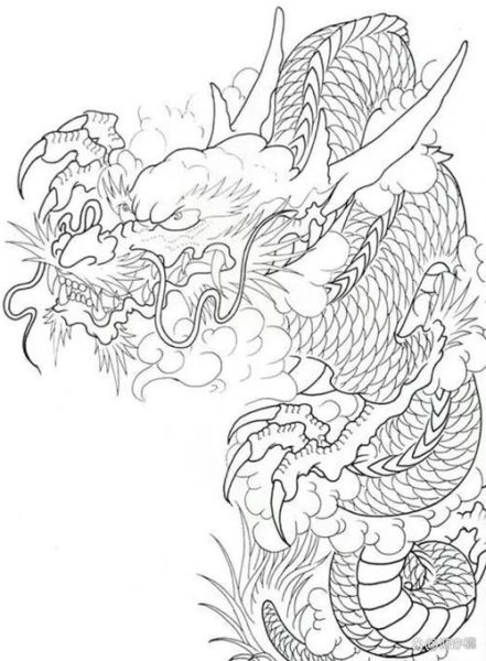 生肖属相纹身手稿（生肖龙纹身手稿怎么选🐉）