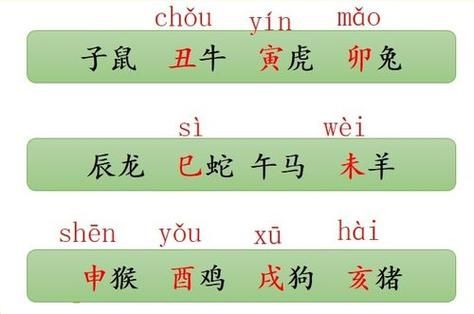 节目主持人的生肖属相（主持人生肖是什么？属相速查指南📋）