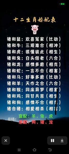 生肖猪相合属相（生肖猪相合属相有哪些）