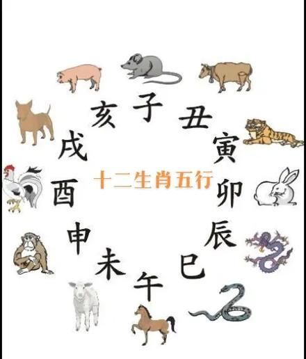 道是什么生肖属相