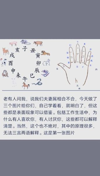 生肖属相手势图片（12生肖手势图片教学图解）