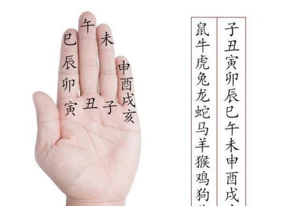 生肖属相手势图片(12生肖手势图片教学图解)