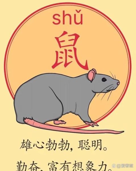 1972年什么生肖属相（1972年属什么生肖）