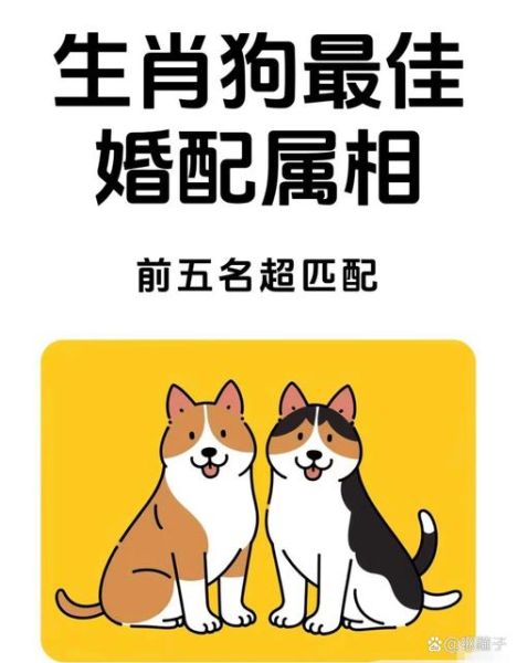 生肖狗相配的最佳属相（生肖狗和什么属相最配最旺财）