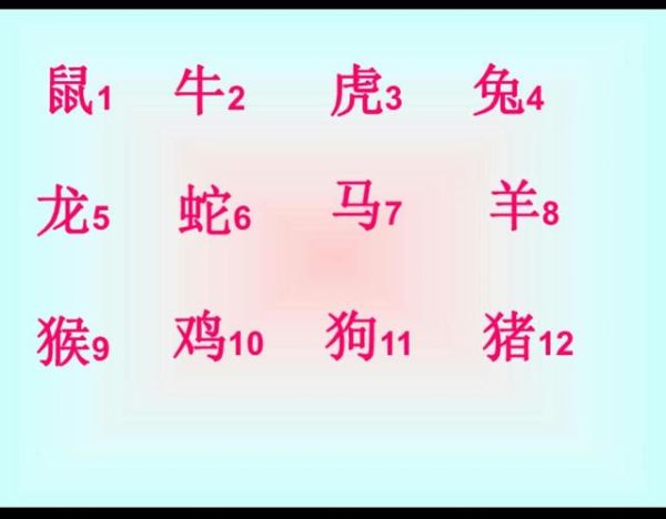 什么属相属于阴性生肖