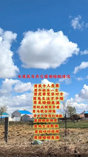 属鼠伴娘生肖属相（属鼠找伴娘忌什么属相？）