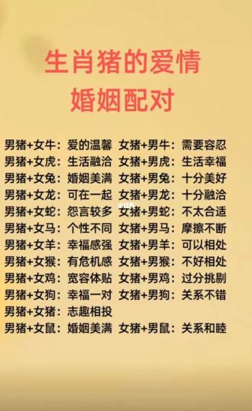 生肖属相猪婚姻配对(属猪婚姻配对最佳属相是谁)