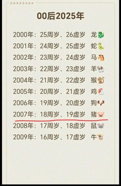 2007年属相生肖（2007年属什么生肖？属猪🐷）