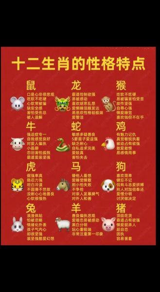 生肖属相玄学视频（生肖属相玄学视频教学怎么看懂）