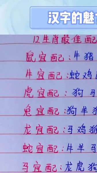 生肖属相怎么配合适(生肖属相搭配指南:新手也能看懂)