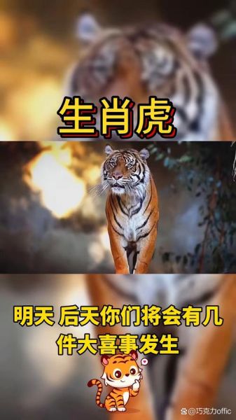 生于1998年的生肖属相(1998年属什么生肖🐯新手一看就懂)