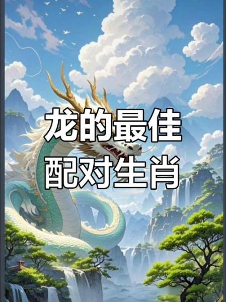 生肖龙适合什么属相(生肖龙和哪些属相最合适?新手一看就会!)