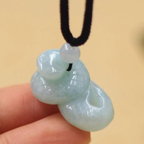 蛇属相龙年戴什么生肖（蛇属相龙年戴什么生肖饰品）