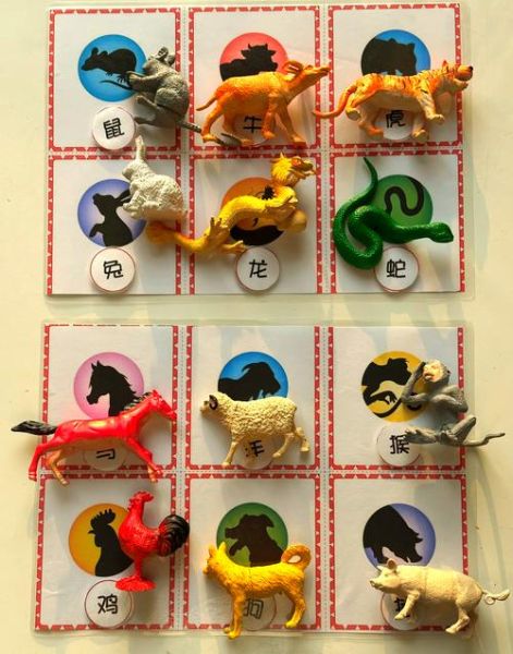 生肖属相游戏（新手必看生肖属相游戏怎么玩）