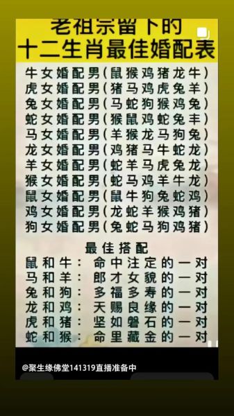 生肖马和鸡属相合(生肖马和鸡合不合婚配怎样)